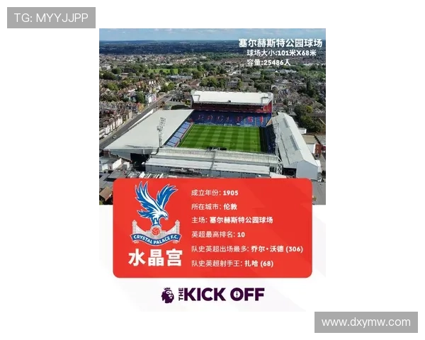水晶宫俱乐部公布最新动态球队未来发展方向引发球迷广泛关注