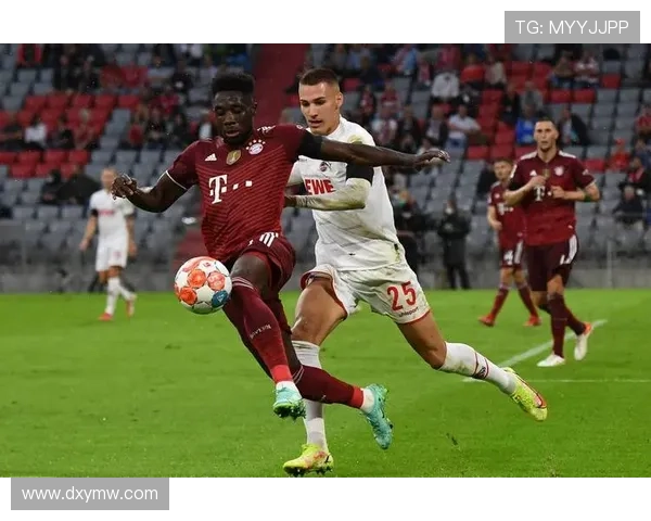 德甲球队全景解析 揭秘德国足球的辉煌历史与未来发展潜力